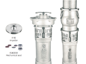 Oil-Immersed Submersible Pump